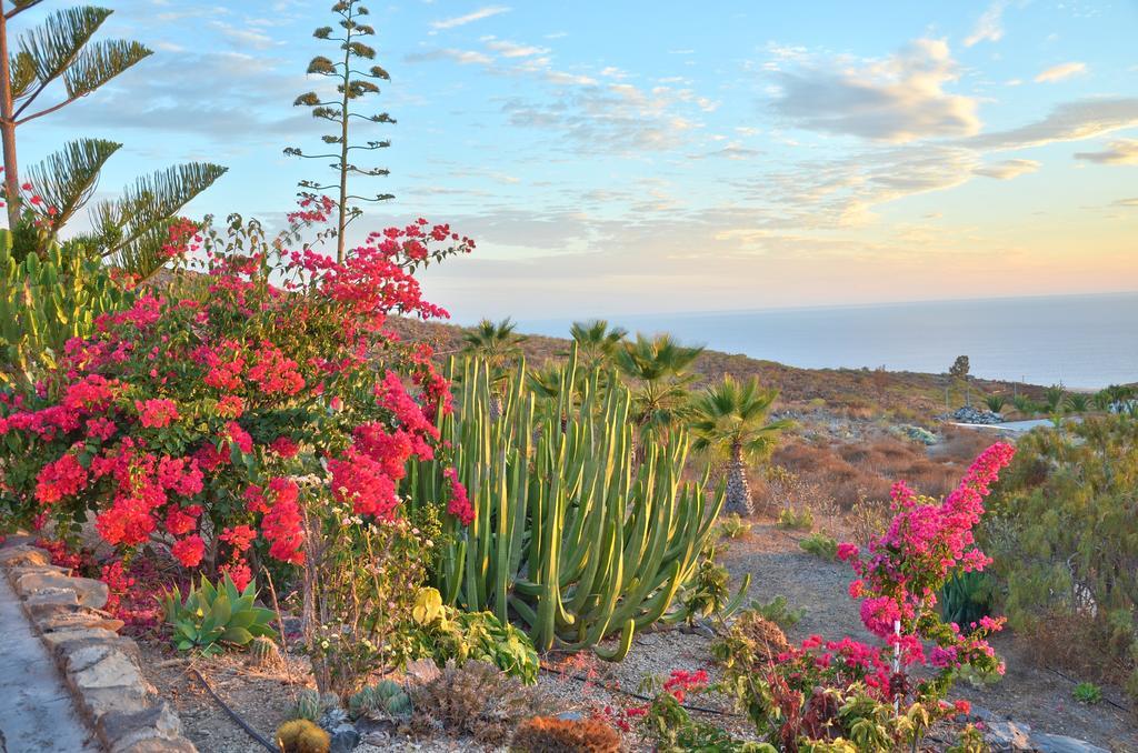 Finca La Tosca Guía de Isora Exteriér fotografie